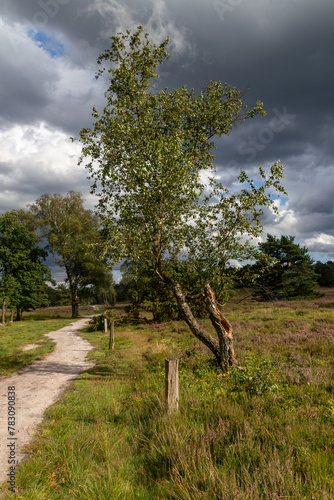 Lüneburger Heide Himmel Wetter