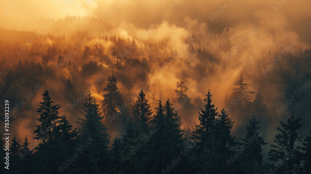 Fototapeta premium Forest fires