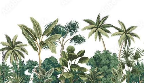 Tropical vintage botanical palm trees, banana tree, green plants floral seamless border white background. Exotic jungle wallpaper. 