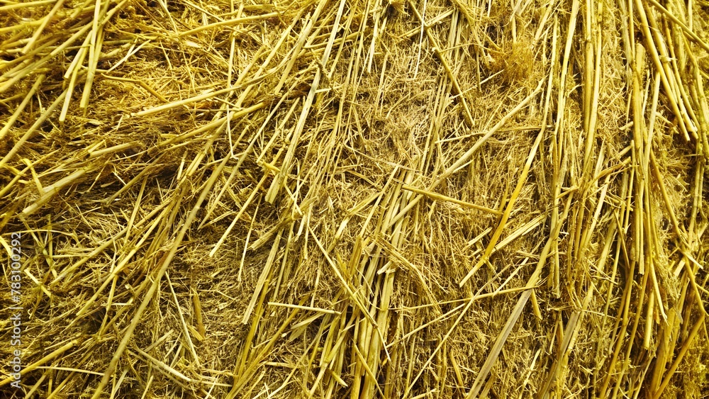 abstract hay background