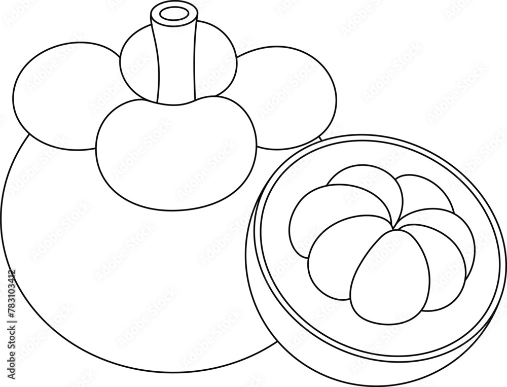 Mangosteen Isolated Vector Illustration Hand Drawn Coloring Page for ...