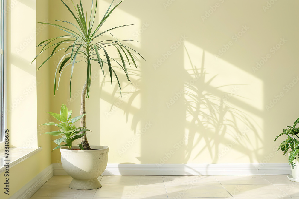 modern empty living room with a window yellow wall, plants , empty copy space modern empty living room with a window yellow wall, plants , empty copy space