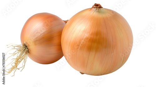 Wallpaper Mural yellow onion isolated on transparent background Torontodigital.ca