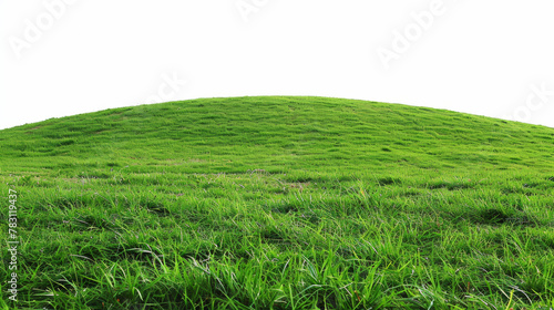 A grassy hill with a white background photo