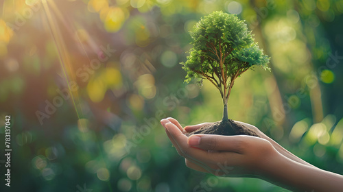 Ecology, eco-friendly growing tree plant on volunteer's hand natural background for go green, CSR ESG Arbor day, reforestation sustainable bio forest saving environment ecosystems conservation concept