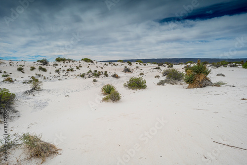 Desierto en Mexico
