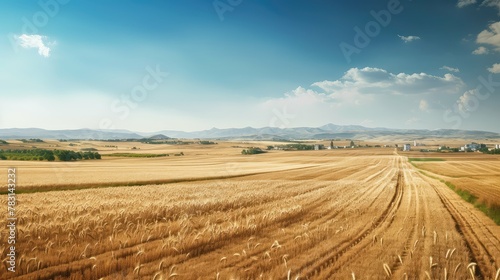 crops big agriculture photo