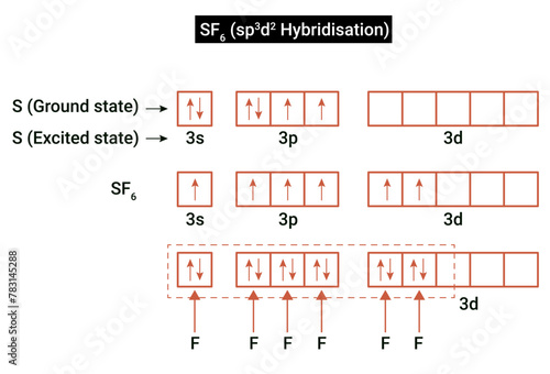 Formation of SF6 (sp3d2 Hybridisation)