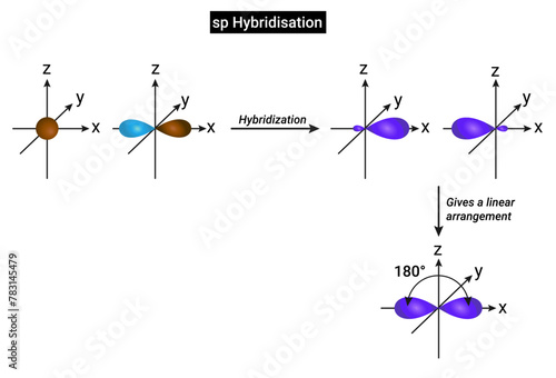 sp Hybridisation: One s and one p orbital of an atom are mixed to give two new hybrid orbitals which are equivalent in shape and energy known as sp hybrid orbitals.