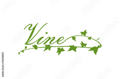 Vines, logo design inspiration vintage illustration