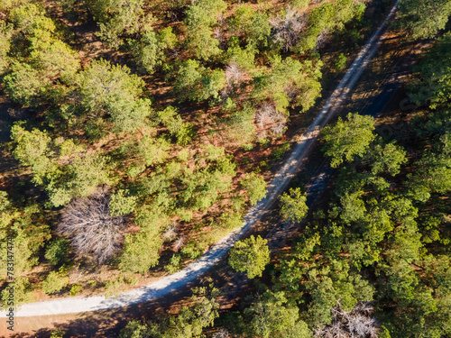 Aerial top down of trees and a gravel trail in rural Appling Georgia