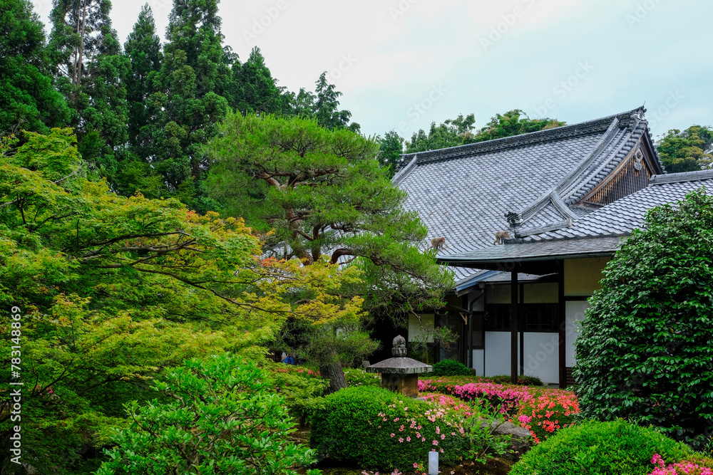 泉涌寺塔頭別格本山雲龍院の庭園風景