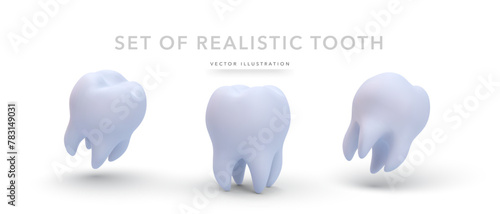 Set of realistic tooth isolated on white background. Vector illustration