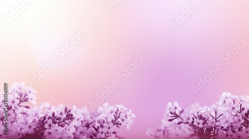 calming light purple backgrounds