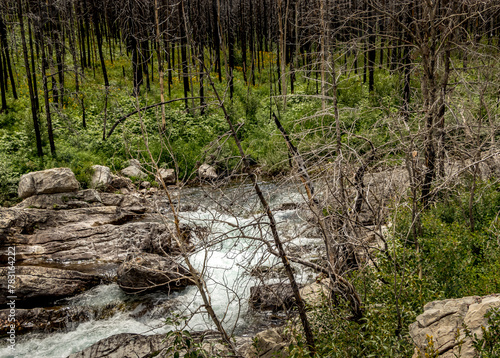 Akamina Parkway Waterton Lakes National Park Alberta Canada photo