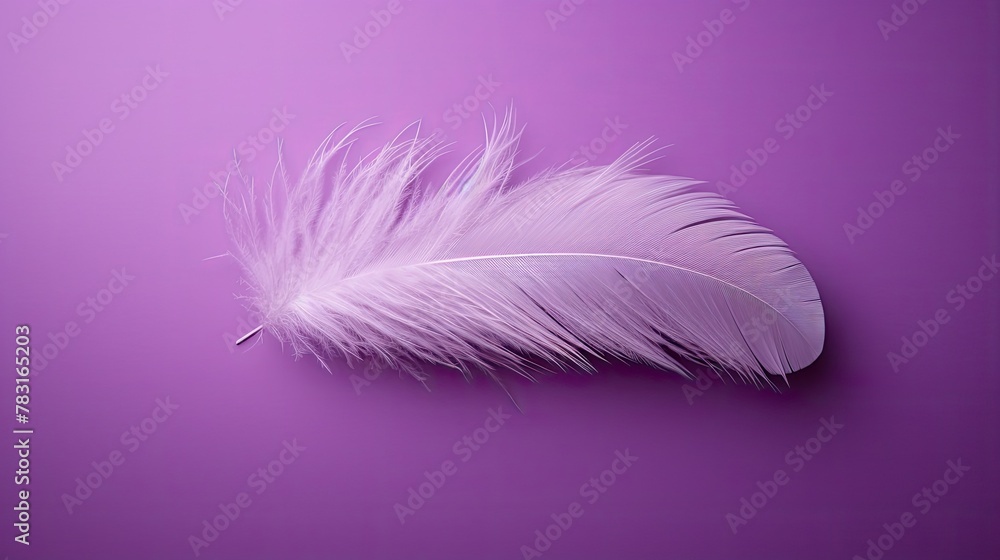 Obraz premium solid purple photography backgrounds