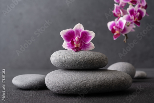 Zen stones and pink orchid flower on dark background as spa concept
