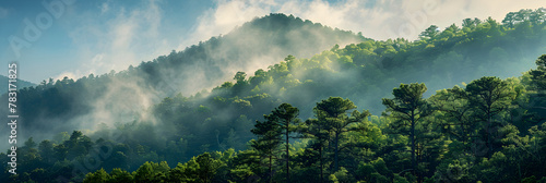 The Majestic Beauty of North Carolina's Climate - A Visual Representation