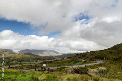 Sheep in the mountains 1