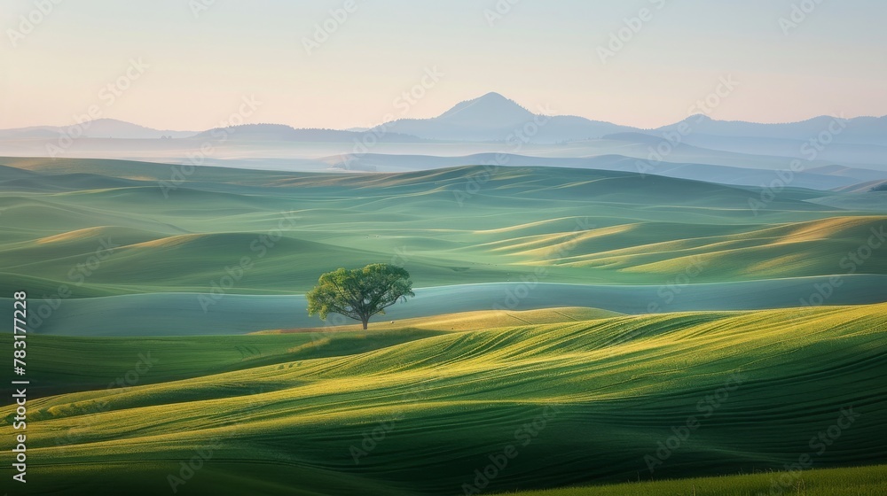 Naklejka premium Serene landscape with an everlasting view of rolling hills