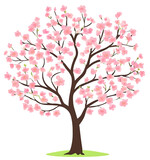 Cherry Blossom, Cherry Blossom Tree, Japanese Tree, Spring Tree, Spring Flower, Pastel Tree, Pastel Flower