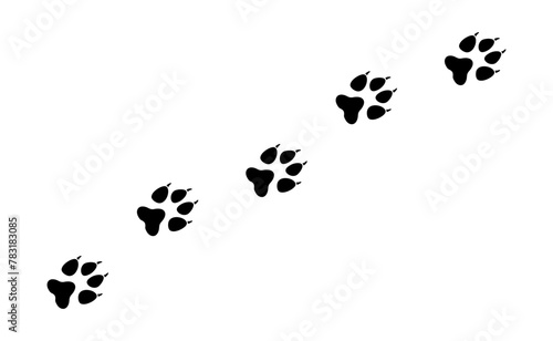 Wolf tracks. Vector wolf paw prints.