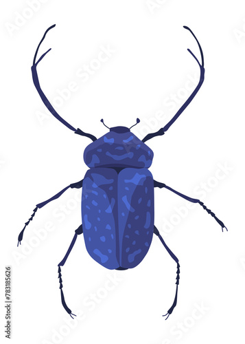Rosalia batesi longhorn black-blue bug icon. Exotic beetle with long antennae and legs. Rosalia alpina entomology unusual insect illustration photo