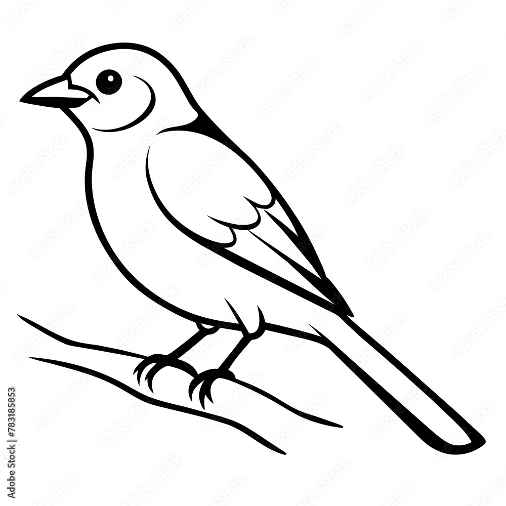 Bird on a branch vector illustration.
Bird on a branch vector illustration.