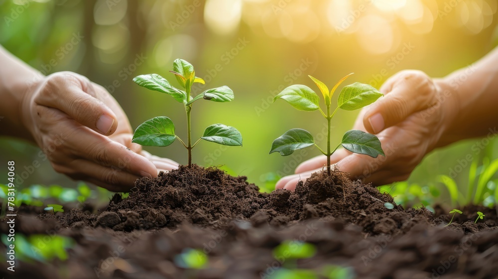 Sustainable Business Practices with CSR Concept and Planting for a Greener Future Sustainable Business Practices with CSR Concept and Planting for a Greener Future