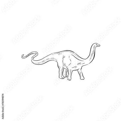 A line drawn illustration of a apatosaurus. Hand drawn in black and white and shaded using lines. A simple sketchy style illustration vectorised for many uses.