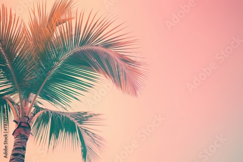 Coconut palm tree on tropical beach in summer - vintage colour effect. Beautiful simple AI generated image in 4K, unique. © ArtSpree