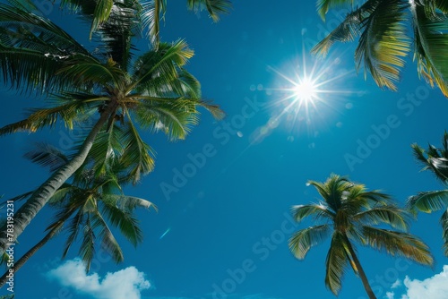 Low angle view of tropical coconut palm trees with clear blue sky - AI Generated. Beautiful simple AI generated image in 4K  unique.