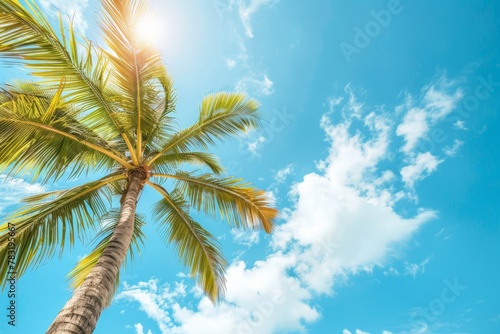 Low angle view of tropical coconut palm trees with clear blue sky - AI Generated. Beautiful simple AI generated image in 4K  unique.