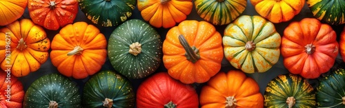 Colorful Autumn Harvest: Top View of Fresh Hokkaido Squash, Pumpkins, and Other Edible Vegetables for Thanksgiving Banner Background photo