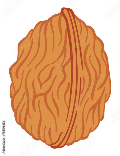 Walnut  flat icon. Cartoon illustration of whole nut in shell. Omega-3 product