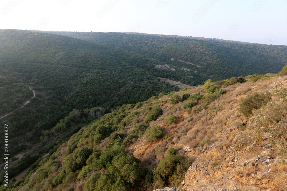 Landscape in the mountains with views of pristine nature. Landscape in the mountains with views of pristine nature.