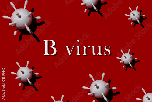 B Virus(herpes B, monkey B virus, Herpesvirus simiae,Herpes virus B,Macacine alphaherpesvirus 1)is the Simplexvirus infecting macaque monkeys photo