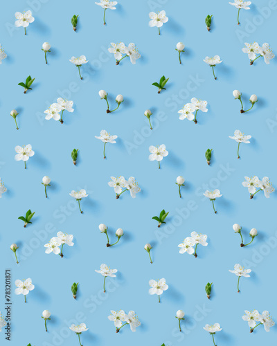 Spring pattern with cherry flowers on light blue background. Nature backdrop.
