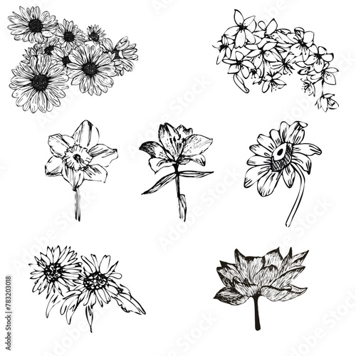 Set di fiori a mano libera neri photo