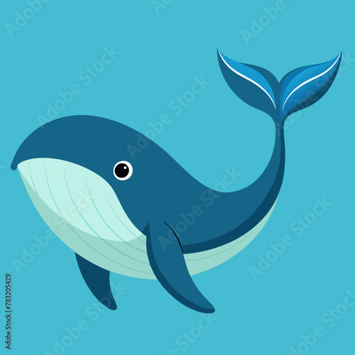 illustration of whale