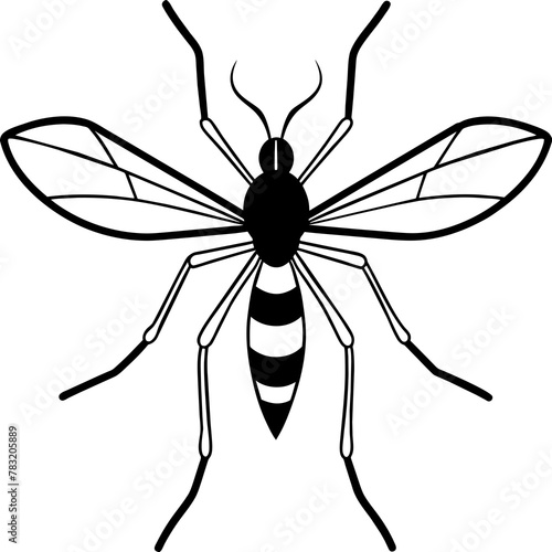mosquito on white background