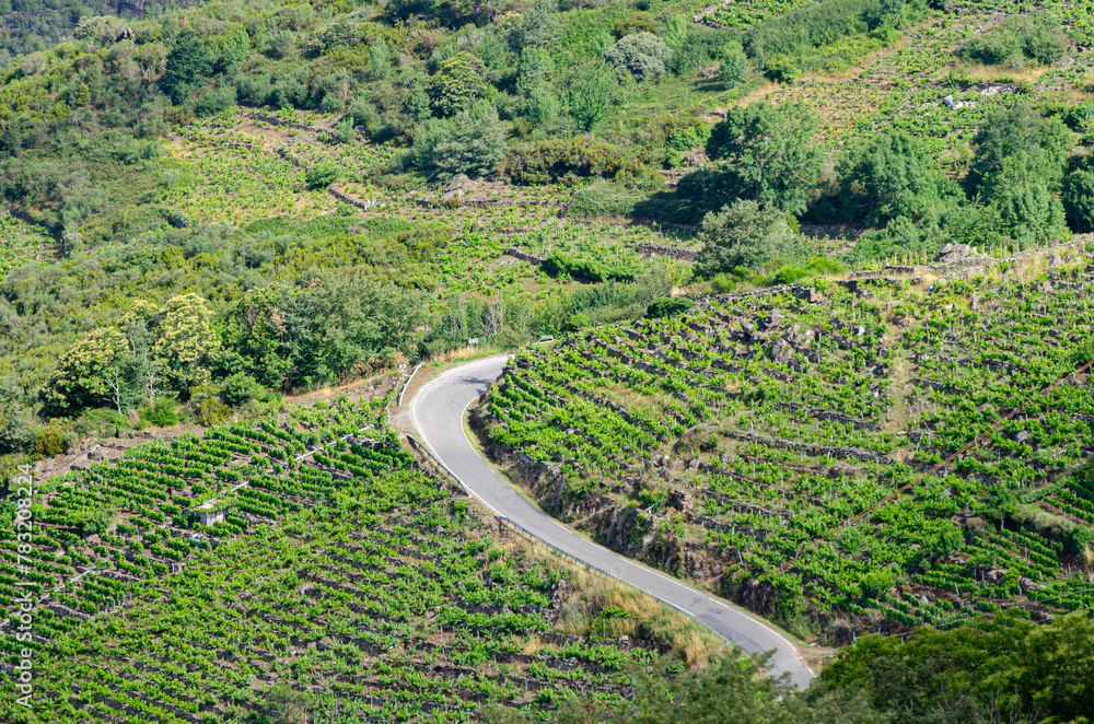 view of a curvy road on a mountainside of vineyards, Ribeira Sacra. Galicia, Spain