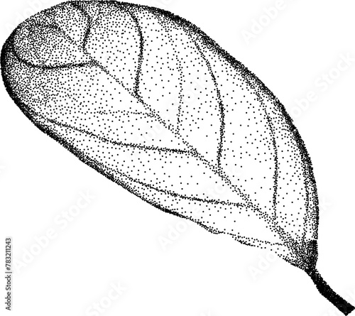Grunge grain plant with a xerox or grainy photocopy effect. Dotted element with halftone stipple effect for gothic collage design. Vector illustration.	