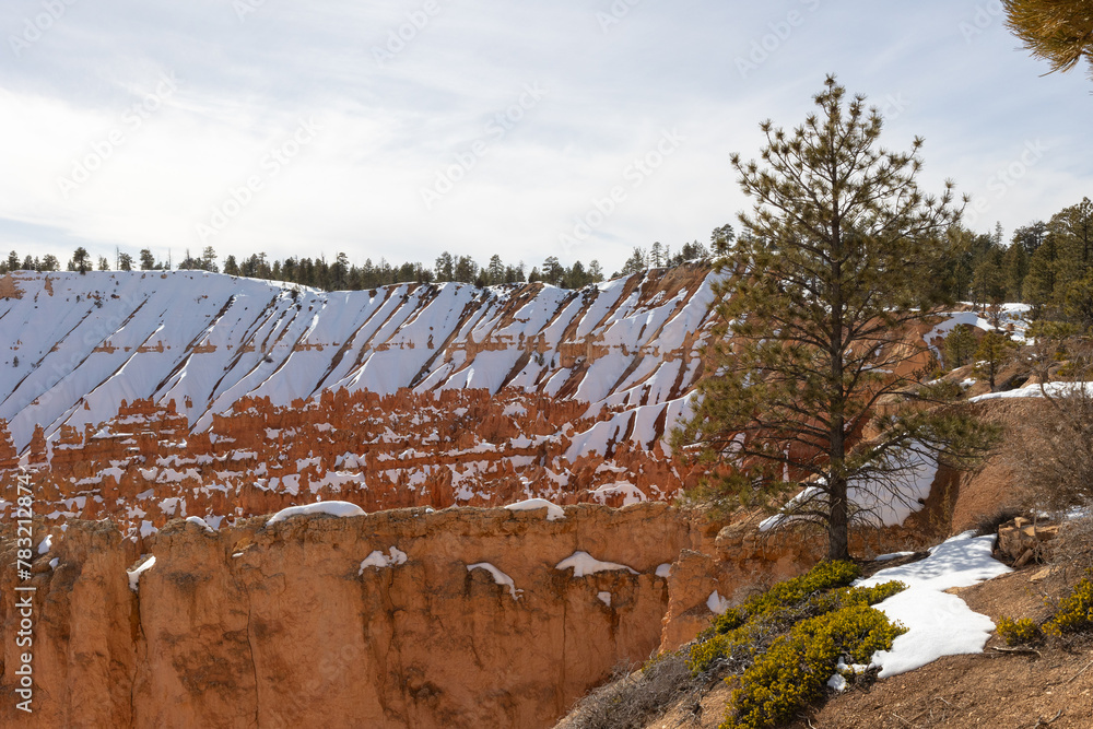 Fototapeta premium shots of different spots at bryce canyon in utah