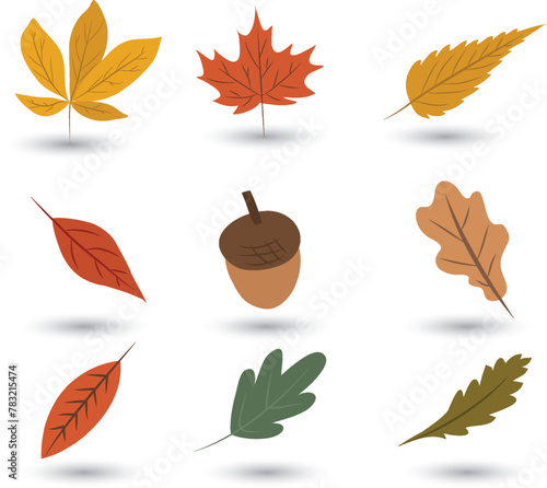 Free vector autumn leaves background