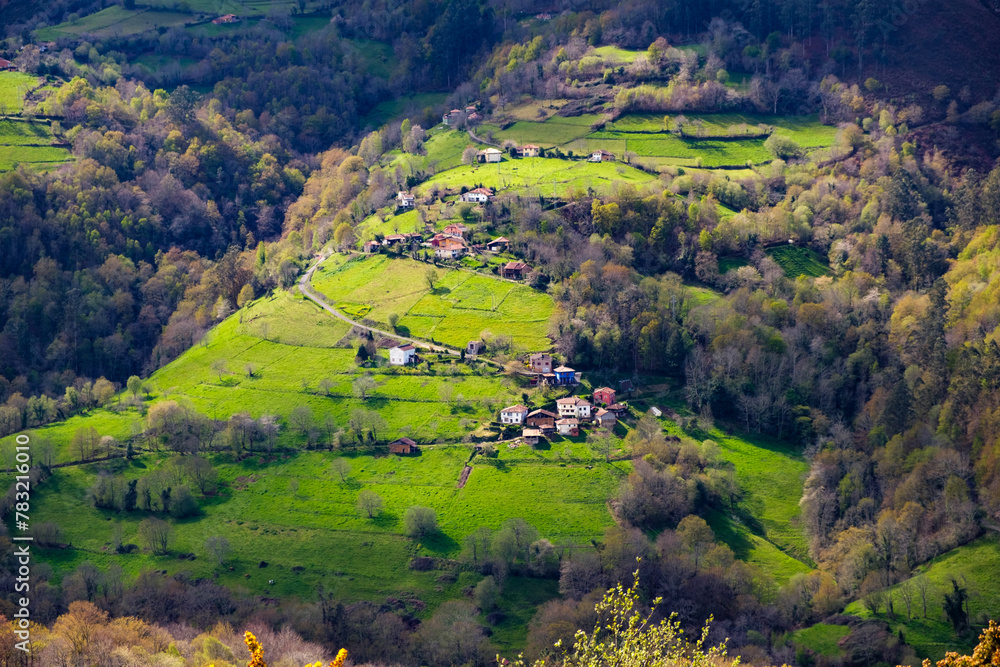 A hillside in Asturias, Spain, densely covered with numerous trees creating a lush and vibrant green landscape. The trees fill the hillside, providing shade and habitat for various wildlife