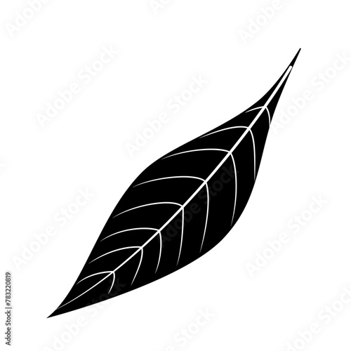 Tree leaf silhouette isolated cutout black and white monochrome vector clipart illustration. Autumn leaves design element. Summer nature pictogram, logo or icon. Tree foliage simple cartoon doodle.