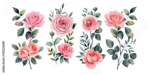 Set of floral branch Flower pink rose Wedding Watercolor Floral isolated on transparent background © Paworn