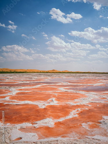 red salt lake in the desert