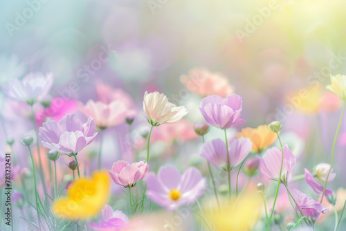 Vibrant Pastel Flower Meadow  Spring Landscape